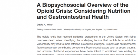 A Biopsychosocial Overview of the Opioid Crisis: Considering Nutrition and Gastrointestinal Health