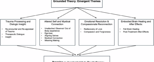 Accelerated recovery using magnesium ibogaine: characterizing the subjective experience of its rapid healing from neuropsychiatric disorders