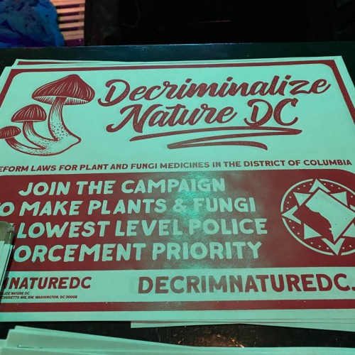 Activists Will Try To Decriminalize Magic Mushrooms And Other Psychedelics In DC