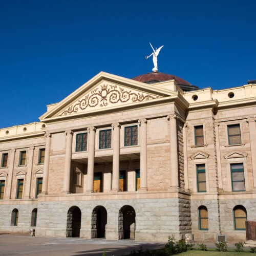 Arizona joins Texas in ibogaine clinical trial research push for veteran, first responder mental health