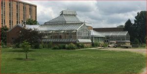 Drug-related plant at Miami's Conservatory jeopardizes professors' jobs