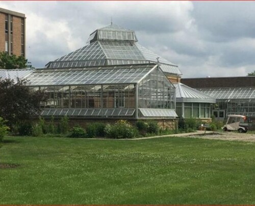 Drug-related plant at Miami's Conservatory jeopardizes professors' jobs