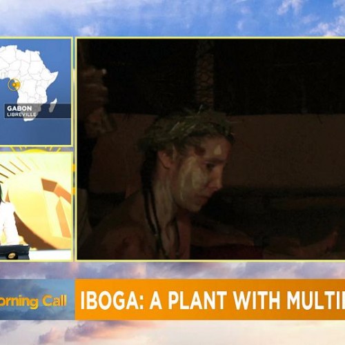 Gabon prepares for first international forum on Iboga [Morning Call]