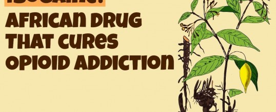 Ibogaine- African Drug That Cures Opioid Addiction: Iboga Plant, Psychedelic Effects & Dangers