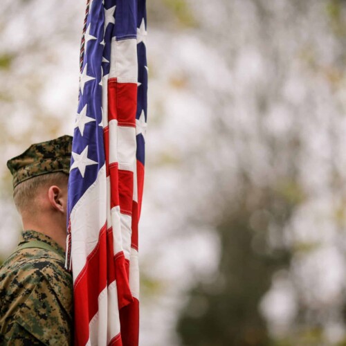 Ibogaine and veterans' mental health - Reason Foundation