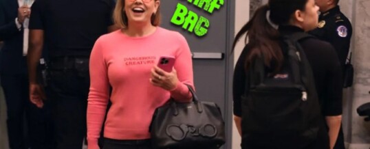 Kyrsten Sinema’s New Job Ensures She’ll Remain the Most Annoying Person in the Room