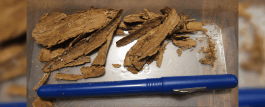 Lawmakers hear from veterans, medical professionals as they consider the efficacy of Ibogaine