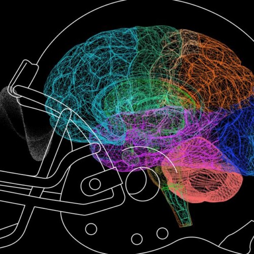 NFL and UFC athletes try 'game-changing' psychedelic to treat brain injury