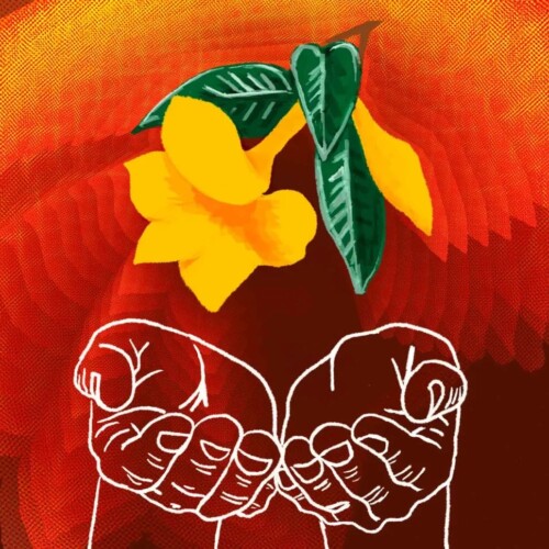 Ibogaine is used for breaking addiction to opiates.