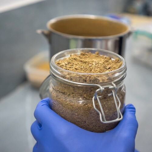 Veterans cross border for forbidden psychedelic treatment that's changing lives after combat